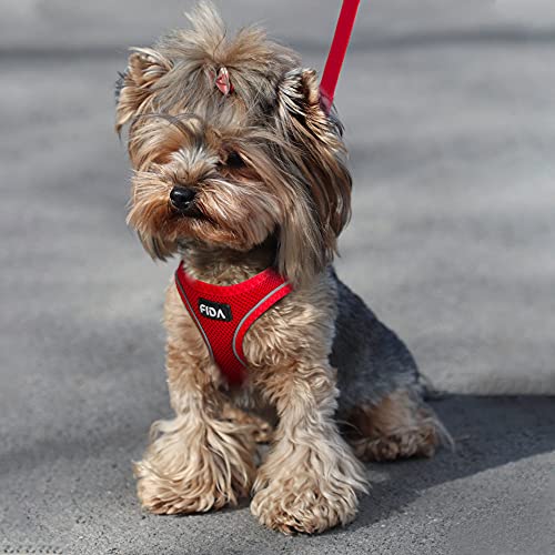 Fida Comfy Dog Harness with Leash, Cat Vest Harness Escape Proof, Breathable Lightweight Soft Mesh, Adjustable Reflective Step-in Harness for Puppy Toy Breeds & Extra-Small Pet (XXS, Red) - color: Fiery Red, size: XXS (Neck:11.4"-12.2"; Girth:12.6"-14.2")