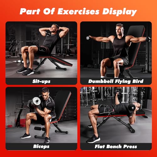 Adjustable Weight Bench for Home Gym, Foldable Incline Decline Sit-Up Bench Workout Equipment for Full Body Strength Training, 795LBS Capacity for Chest, Shoulders, Arms