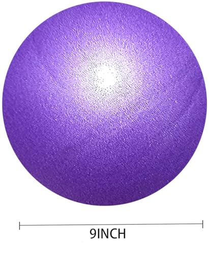 Mini Pilates Exercise Yoga Ball, 9 Inch Small Inflatable Exercise Yoga Ball,Core Training and Physical Therapy Equipment, with Pump