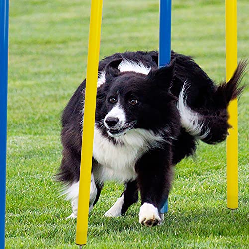 Pet Prime Dog Agility Training Equipment for Dog Obstacle Course Backyard 12pcs Weave Poles Slalom Set Portable Dogs Park Exercise Tool - size: 12PCS Dog Weave Pole Set
