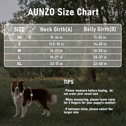 No-Pull Dog Harness for Small Dog Breeds, Escapeproof Easy Walking Reflective Adjustable Lightweight Dog Vest with Breathable Oxford Material, Easy on Easy Off with Neck Buckle, Green Ethnic XS