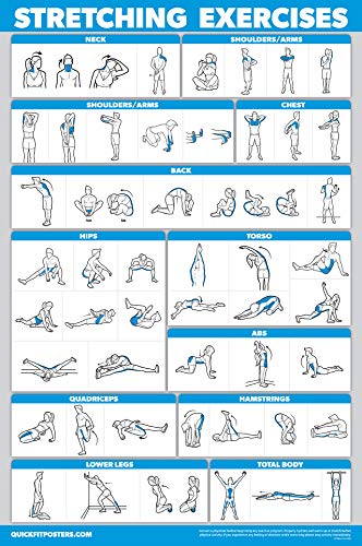 Palace Learning 3 Pack: Dumbbell Exercise Poster + Resistance Bands Workouts + Stretching Exercises - Set of 3 Workout Charts