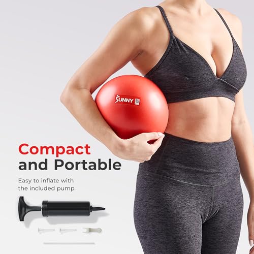 Sunny Health & Fitness Premium Anti-Burst Exercise & Stability Ball - size: 9" (23cm)