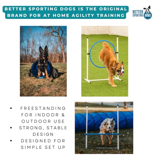 Better Sporting Dogs Complete Starter Agility Set for Dogs, 5 Piece