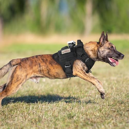 rabbitgoo Tactical Dog Harness for Small, Heavy Duty Military No Pull Vest - color: Black, size: Small