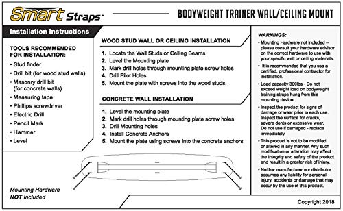 Prism Fitness Smart Straps Ceiling Mount/Wall Mount Anchor for Bodyweight Trainers - USA Made
