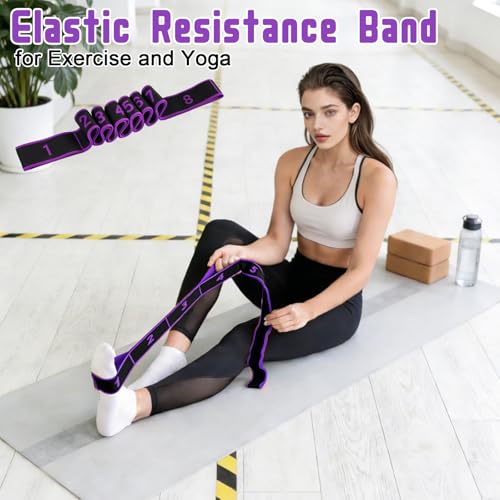 Resistance Bands with Handles, Elastic Stretching Strap for Physical Therapy, Yoga Strap for Stretching Equipment, Shoulder Leg Stretchers Bands for Exercise, Shaping, Flexibility