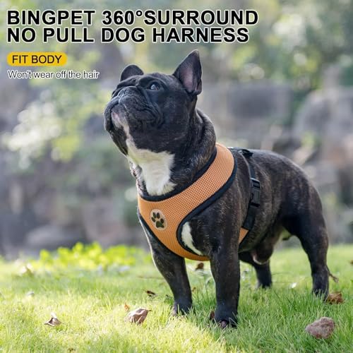 BINGPET Small Dog Harness, No Pull Step-in Puppy Pet Vest, Beige - color: Beige, size: M (NECK: 14", CHEST: 17"-21")