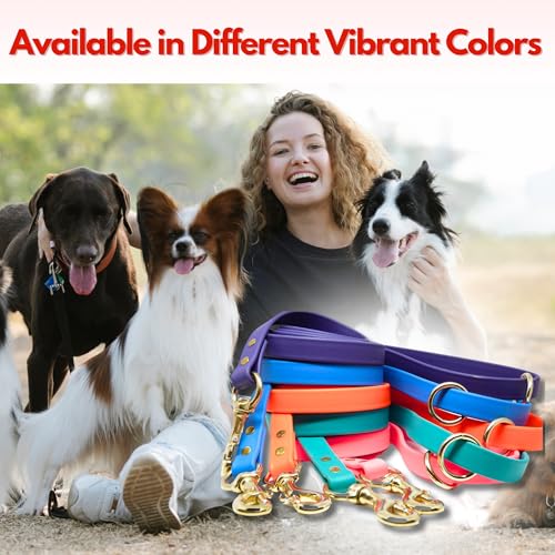 Gummy K9 Dog Leash, Biothane, Dog Training Leash, Made in The USA, 6 Feet, Various Sizes & Colors (1/2, Green)