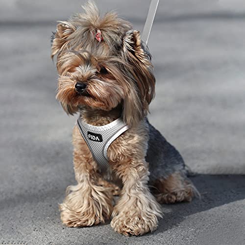 Fida Comfy Dog Harness with Leash, Soft Puppy Vest Escape Proof, Breathable Lightweight Soft Mesh, Adjustable Reflective Step-in Harness for Cat & Extra-Small Pet (XS, Grey) - color: Light Gray, size: XS (Neck:12.2"-13"; Girth:14.2"-16.1")