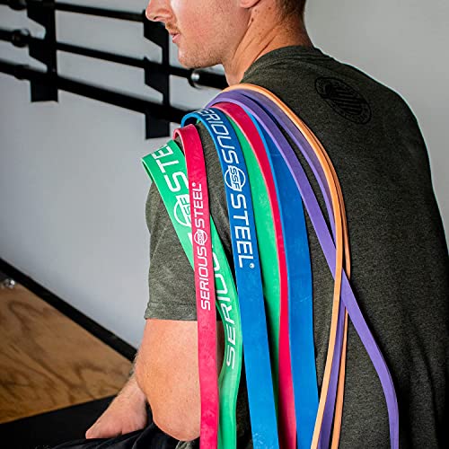 32" Resistance Training Bands (Portable Exercise Band System Training Bands- Great for Individuals Under 5'10")