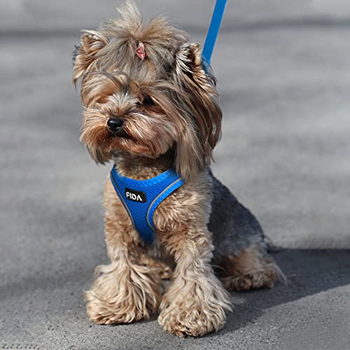 Fida Comfy Dog Harness with Leash, Soft Puppy Vest Escape Proof, Breathable Lightweight Soft Mesh, Adjustable Reflective Step-in Harness for Cat & Extra-Small Pet (XS, Blue) - color: Blue, size: XS (Neck:12.2"-13"; Girth:14.2"-16.1")