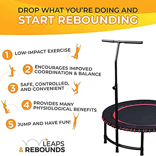 LEAPS & REBOUNDS Fitness Trampoline Rebounder - 48 in Pink