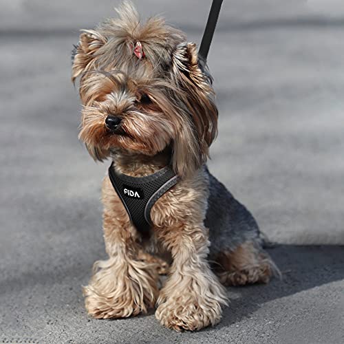 Fida Comfy Dog Harness with Leash, Soft Puppy Vest Escape Proof, Breathable Lightweight Soft Mesh, Adjustable Reflective Step-in Harness for Cat & Extra-Small Pet (XS, Black) - color: Black, size: XS (Neck:12.2"-13"; Girth:14.2"-16.1")