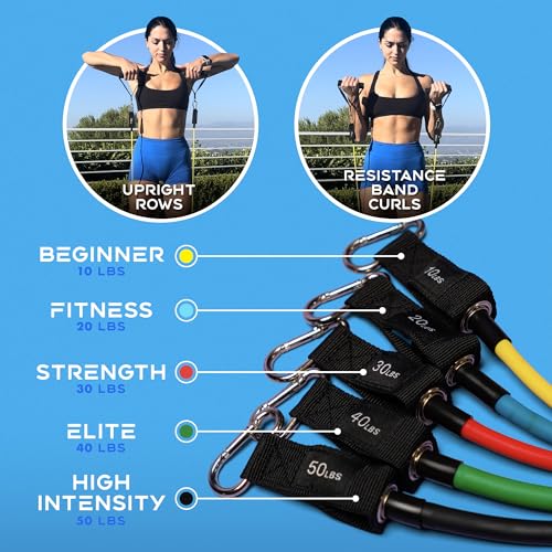 Xeela Full Body At Home Workout Equipment with 3-Month Digital Guide Included, Quality Portable Fitness Equipment with Jump Rope, Resistance Bands with Handles, Ankle Straps for All Fitness Levels