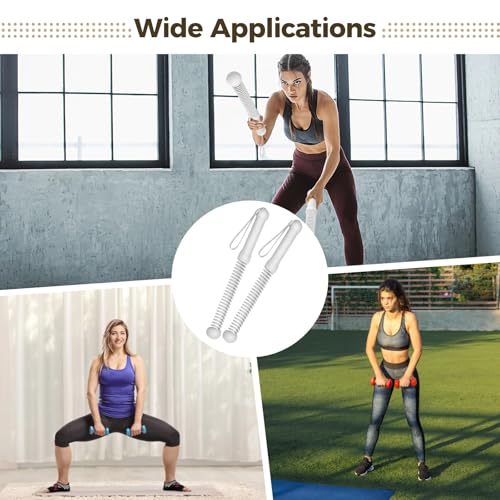 2 Pcs Ropeless Battle Ropes, 16.9 in Weighted Cordless Training Rope, Workout Ropes for Home Gym, Metal Frame with Anti-Slip Handle, Elastic Spring, Full Body Training