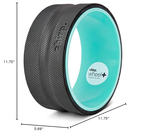 Chirp Wheel Foam Roller - Targeted Back & Neck Pain Relief, Muscle Massage, Trigger Point Therapy, High-Density Foam Tool for Physical Therapy, Stretching & Exercise, 500lbs Capacity, 10-Inch Mint