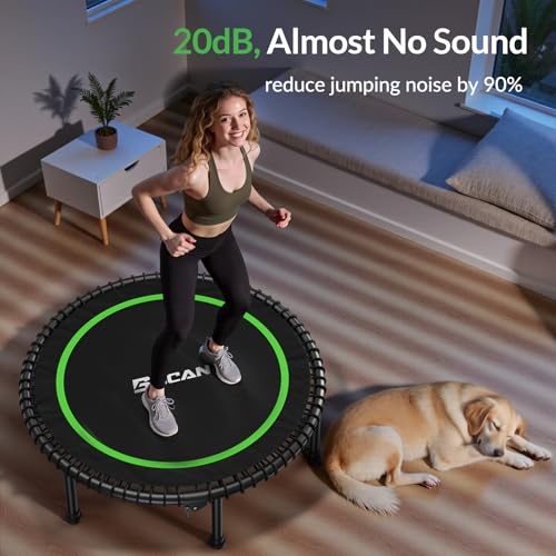 BCAN BT2 Mini Rebounder Trampoline for Adults|Bungee|No Handle|FED Fitness - color: 40-Green, size: 40IN