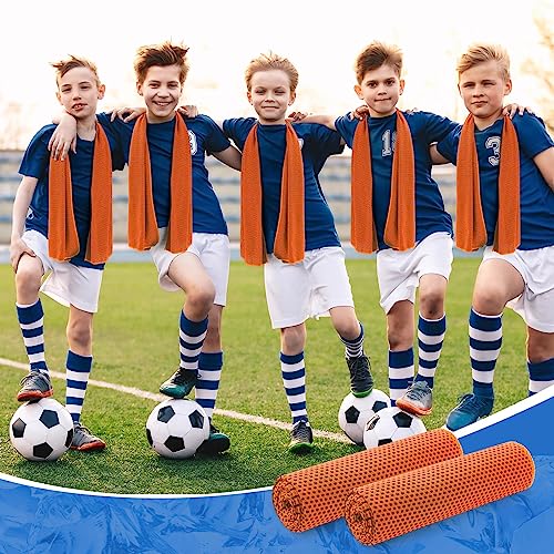 Hosuly 30 Pack Cooling Towels 40"x12" - color: Orange