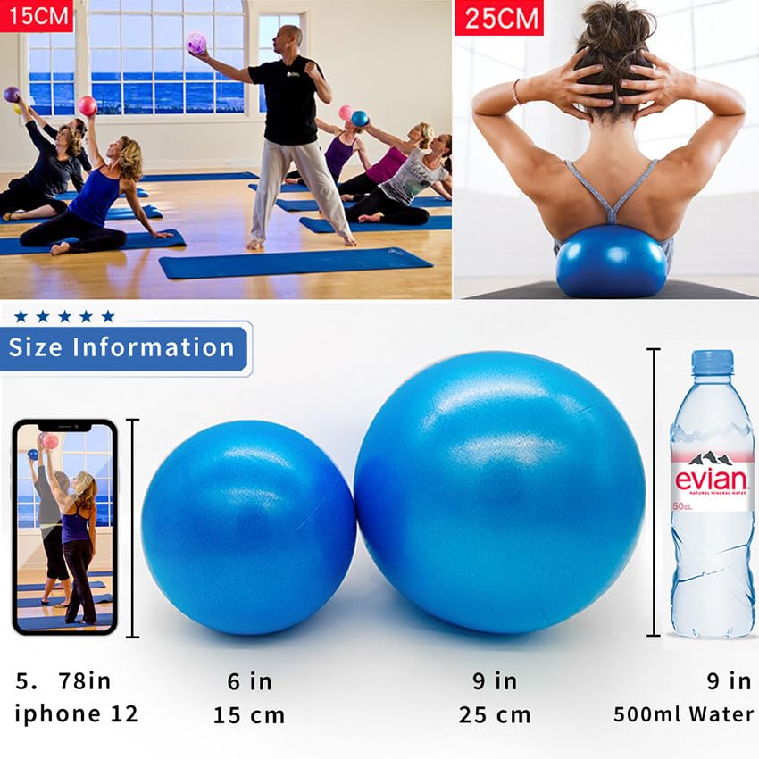 sailupxinyuan Mini Pilates 6 inch Exercise Ball for Yoga,Small Pilates Core Training and Physical Therapy, Improves Balance Home & Gym & Office with Pump(Pink)