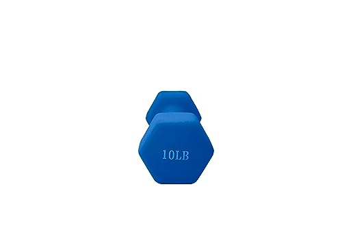Weights Dumbbells set of 2 Fitness for Man Woman Home Gym Health Exercise 10LB Blue Rubber Hex Dumb Bells