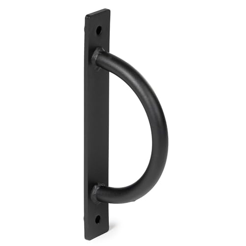 Titan Fitness T-2 Series Battle Rope Anchor, Rack-Mounted D-Ring Attachment for Battle Ropes, Straps, Suspension Training