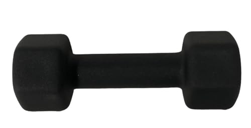 Neoprene Coated Dumbbell Hand Weight Set - style: 10-Pound, Set of 2