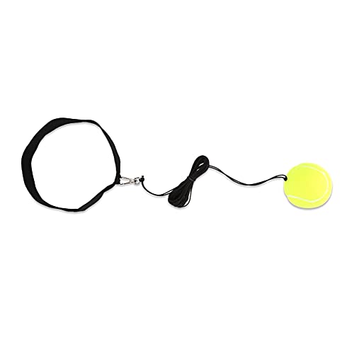 Boxing Ball, Training Punch Ball with Elastic and Headband, for Boxing Agility Speed and Reaction Training
