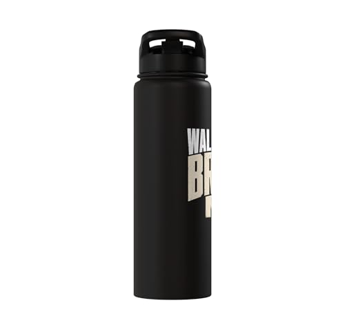 Wall Balls Broke Me Funny Functional Fitness Race Training Stainless Steel Insulated Water Bottle