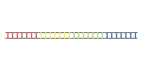 Champion Sports Sectioned Agility Ladder Set, Red/Yellow/Blue/Green, 6.5" x 16" Wide