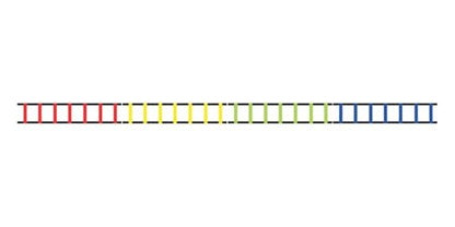 Champion Sports Sectioned Agility Ladder Set, Red/Yellow/Blue/Green, 6.5" x 16" Wide