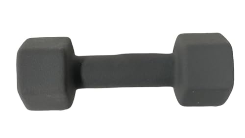 Neoprene Coated Dumbbell Hand Weight Set - style: 12-Pound, Set of 2