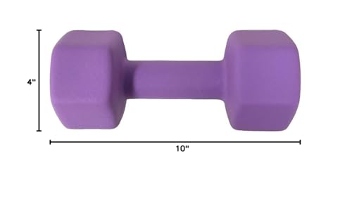 Neoprene Coated Dumbbell Hand Weight Set - style: 20-Pound, Set of 2