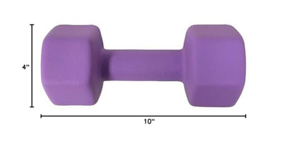 Neoprene Coated Dumbbell Hand Weight Set - style: 20-Pound, Set of 2