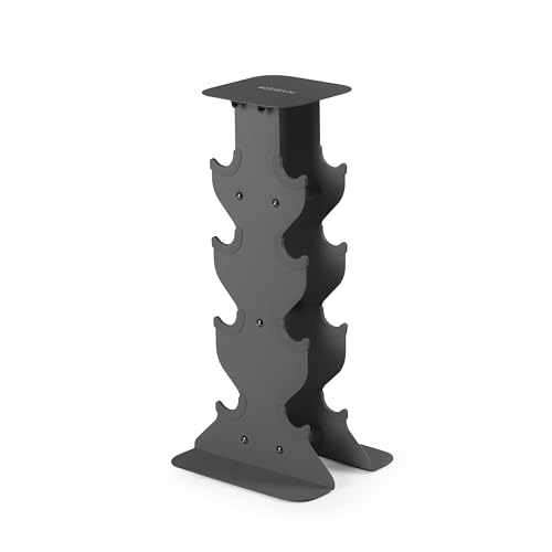 WeGym Dumbbell Racks, Space Saving Solution, Sturdy Cast Iron, Home Workout Storage, Heavy Weights Bearing, Home Strength Training - color: Slate, style: M