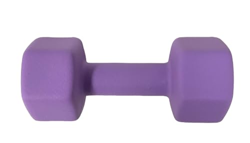 Neoprene Coated Dumbbell Hand Weight Set - style: 20-Pound, Set of 2