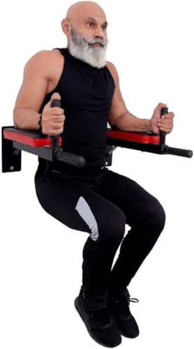 Wall-Mounted Dip Station, Heavy Duty Exercise Bar with 4 Padded Handles