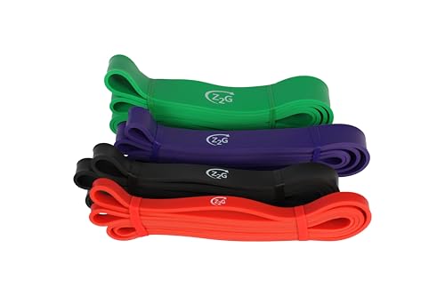 Z2G Exercise Power Band Set – 4 Heavy-Duty Resistance Bands (Light to X-Heavy) with Travel Bag – Strength & Mobility Training for Women, Men & Youth