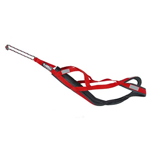 Pro Sled Dog Harness (Red, Large)