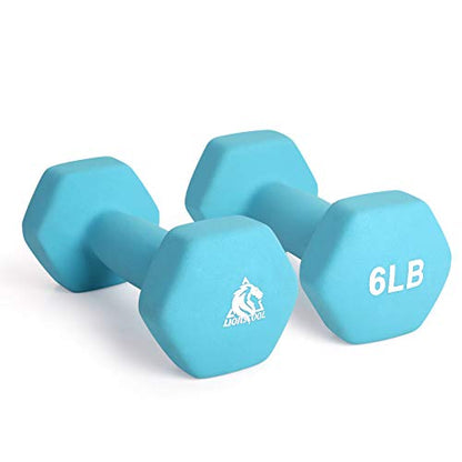 LIONSCOOL Set of 2 Neoprene Coated Dumbbell Hand Weights, Anti-Slip and Anti-Roll Hex Dumbbells in Pair for Strength Training, Resistance Training - style: Skyblue 6lb Pair