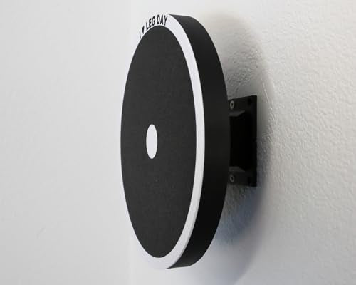 Wall Ball Target (Wall Mounted) for Hyrox or Hybrid Workout Training; Squat Medicine Ball Throws; mounts on the wall; for the Garage, Side of House or Hyrox Gym (Single). (White)