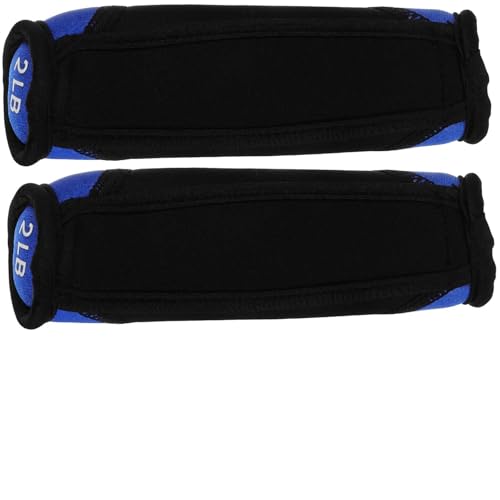 Beavorty Soft Dumbbell Hand Weights Pair 2lb Each Blue Running Fitness Equipment Sandbag Hand Trainer for Home Arm Exercise and Strength Training
