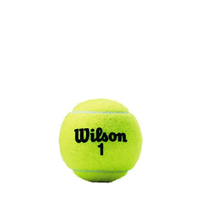 WILSON Championship Tennis Balls