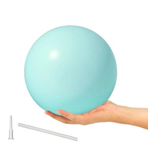 9 Inch Exercise Pilates Ball Mini Exercise Barre Ball for Yoga,Stability Exercise Training Gym Anti Burst and Slip Resistant Balls Physical Therapy Improves Balance, Core Strength - color: Skyblue