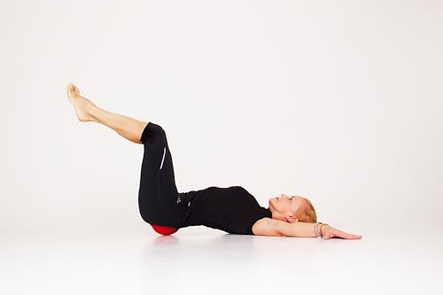 Pelvic Clock® Exercise Device for Hip & Lower Back Pain Relief