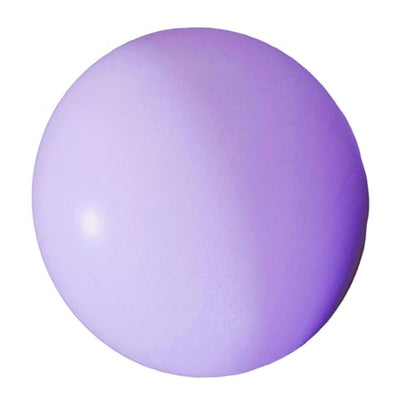 25cm Soft Pilates Ball 10Inch Exercise Gym for Pilates, Cores Training, Physical Therapies and Balances Cores Training