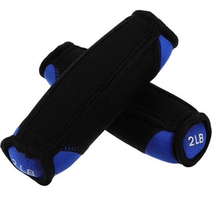 ABOOFAN Soft Sandbag Dumbbells 2lb Pair Hand Weights for Fitness Training, Blue Soft Dumbbell Set for Running, Aerobics, Home Exercise and Arm Toning