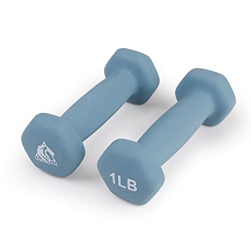 LIONSCOOL Set of 2 Neoprene Coated Dumbbell Hand Weights, Anti-Slip and Anti-Roll Hex Dumbbells in Pair for Strength Training, Resistance Training - style: Sea 1lb Pair
