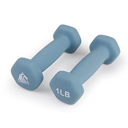 LIONSCOOL Set of 2 Neoprene Coated Dumbbell Hand Weights, Anti-Slip and Anti-Roll Hex Dumbbells in Pair for Strength Training, Resistance Training - style: Sea 1lb Pair