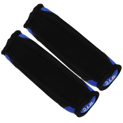 Zerodeko Soft Hand Dumbbells 2 Lb Pair Blue Sandbag Weights for Home Fitness Strength Training and Running Weight Equipment
